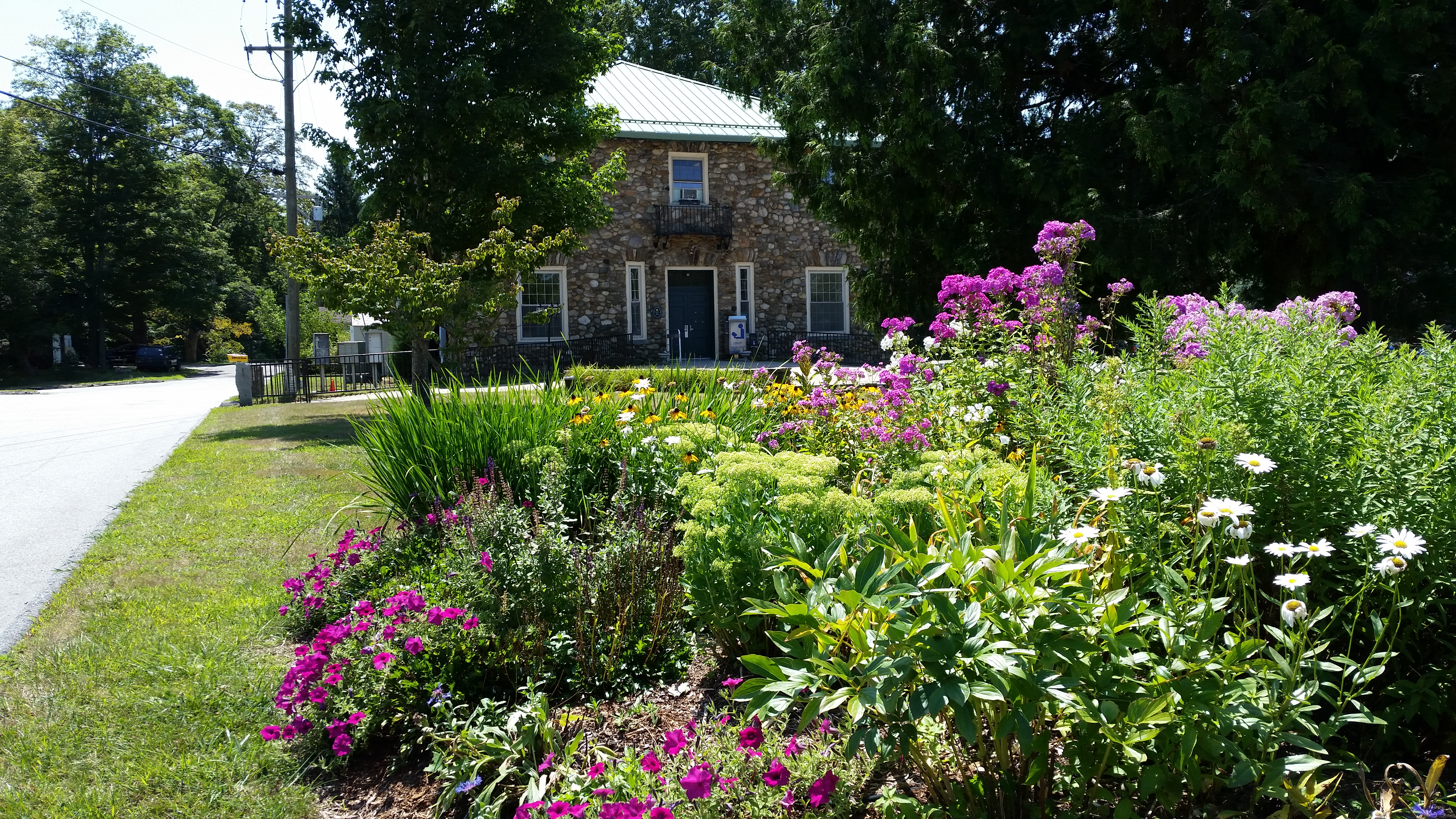 Babcock Library (11)